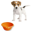 Werbe Faltbare Silikon Pet Bowls